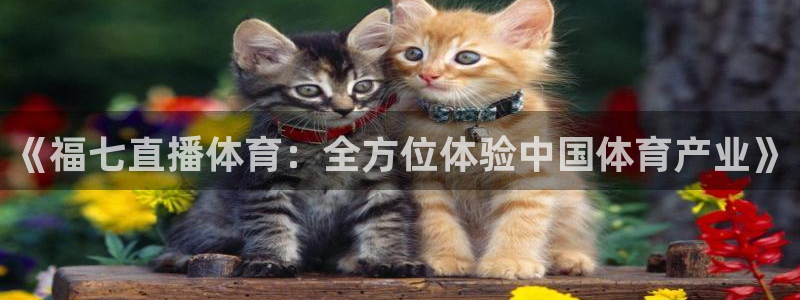 《福七直播体育：全方位体验中国体育产业》