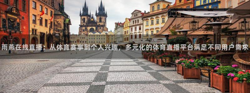 雨燕在线直播：从体育赛事到个人兴趣，多元化的体育直播平台满足不同用户需求