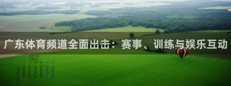 广东体育频道全面出击：赛事、训练与娱乐互动