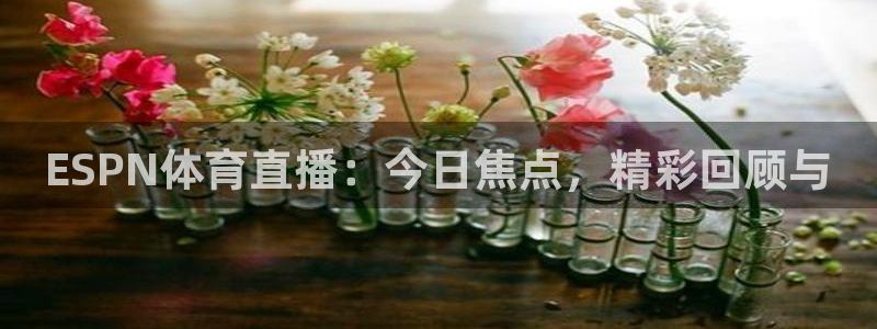 ESPN体育直播：今日焦点，精彩回顾与