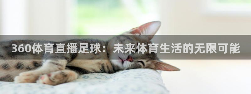 2010年世界杯冠军阵容