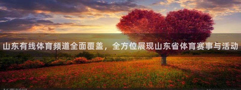 世界杯预选赛南美区排名