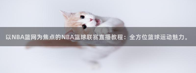 2006年世界杯赛程