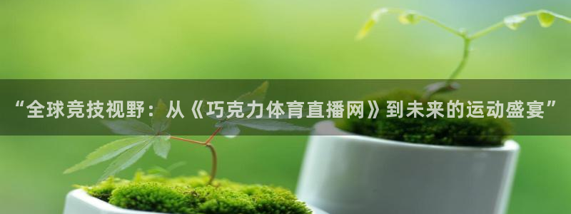 世界杯比赛现场直播