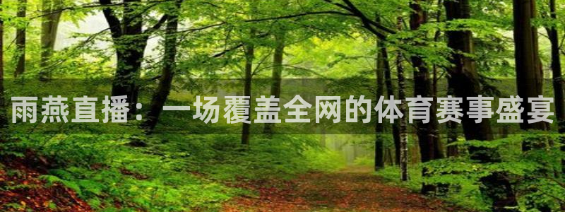 2018年男足世界杯：雨燕直播：一场覆盖全网的体育赛事盛宴