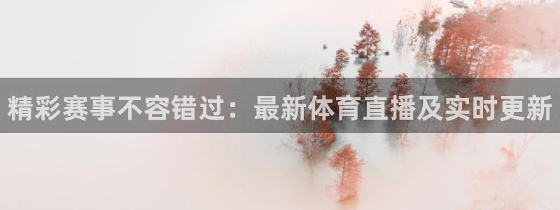 1982年世界杯预选赛：精彩赛事不容错过：最新体育直播及实时更新