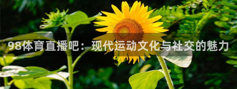 世界杯预选赛全球：98体育直播吧：现代运动文化与社交的魅力